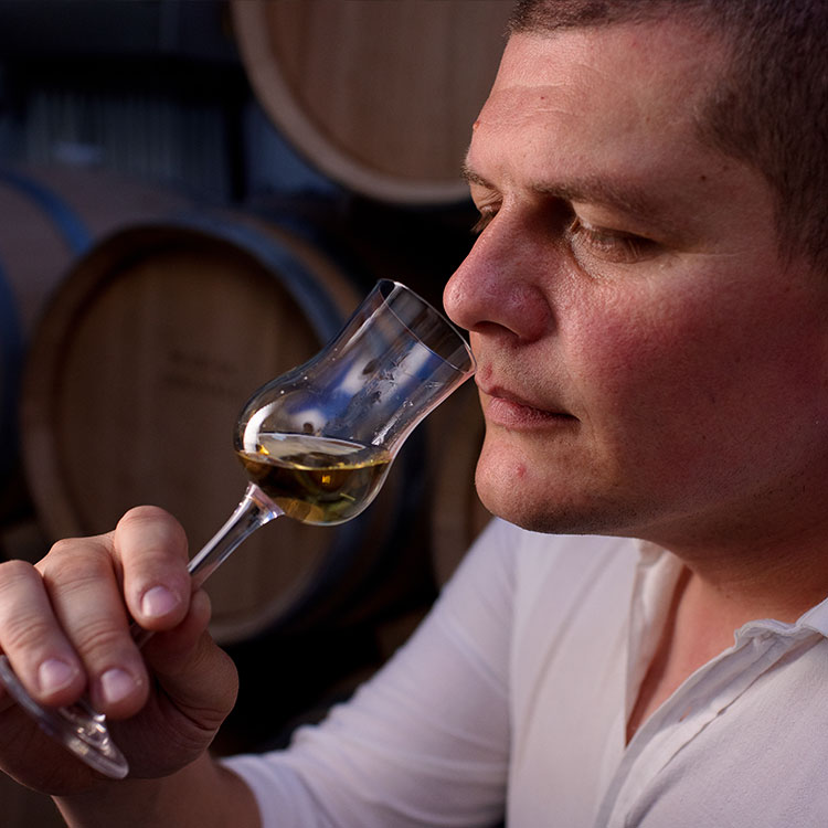 MZ_FONDATOR_750X750_1-1